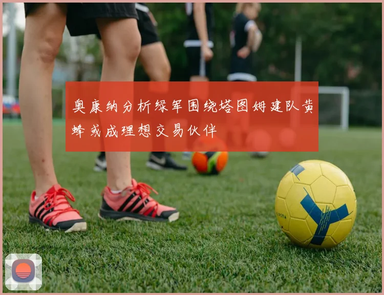 奥康纳分析绿军围绕塔图姆建队黄蜂或成理想交易伙伴